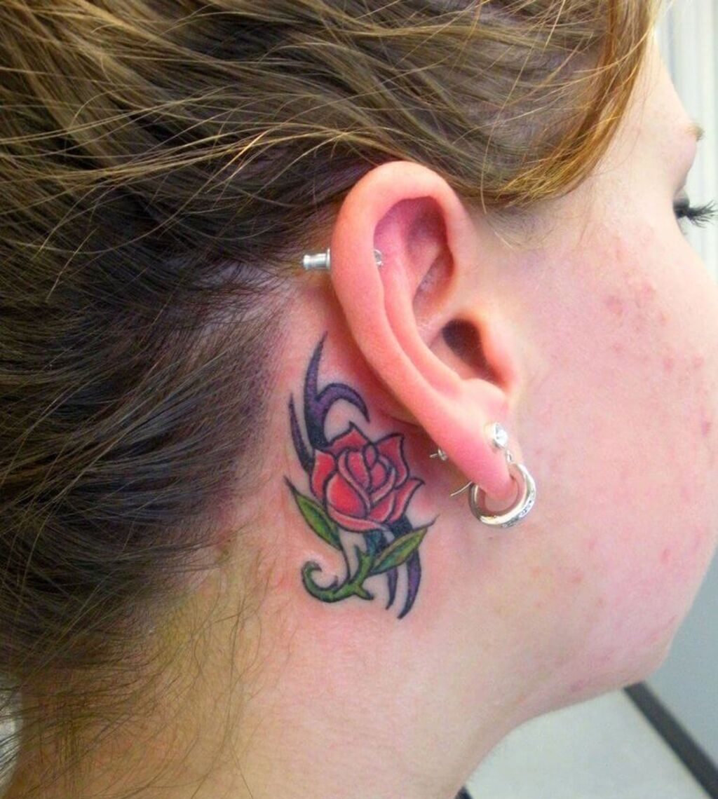 Rose Tattoo At The Back Of The Ear