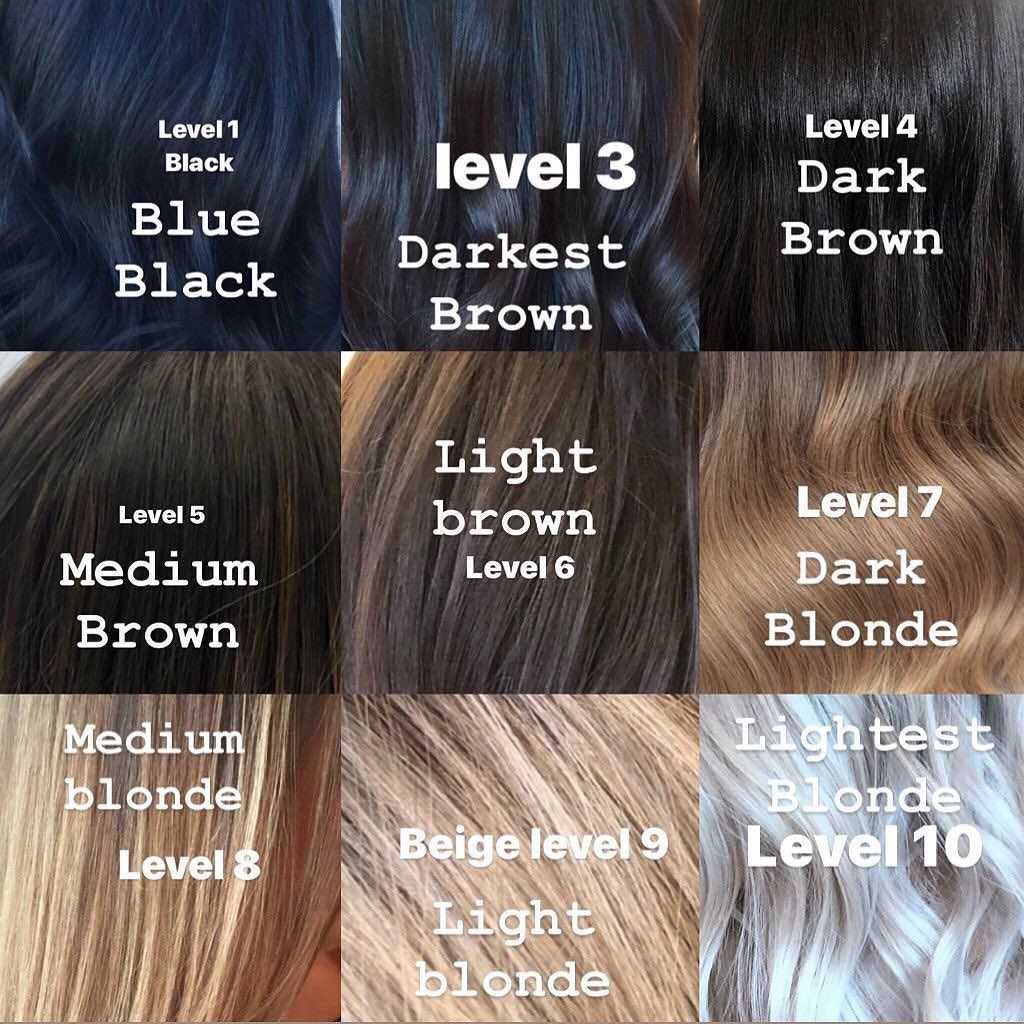 Cool Hair Color Chart