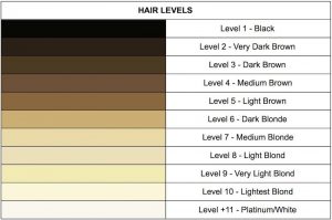 Guide for Hair Color Levels: Find What's Your Hairs Tone?