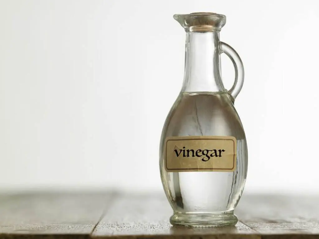Vinegar for Clean A Leather Jacket