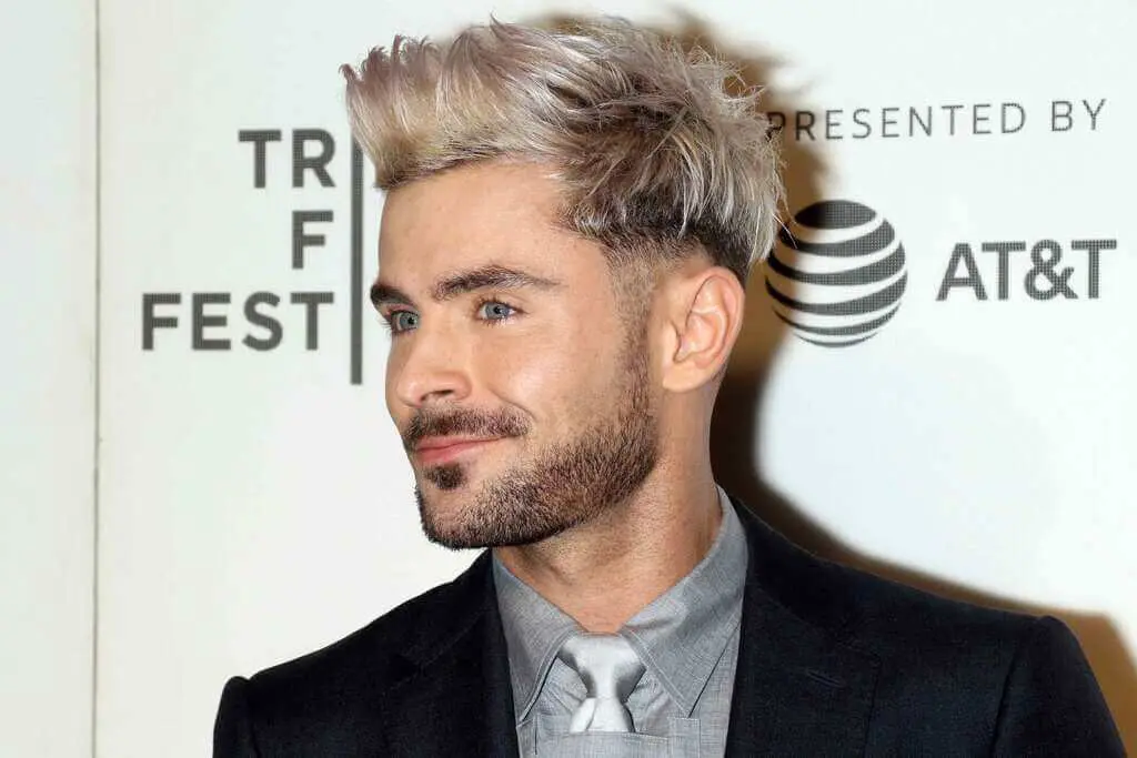 Zac Efron Punk Hairstyles for guys