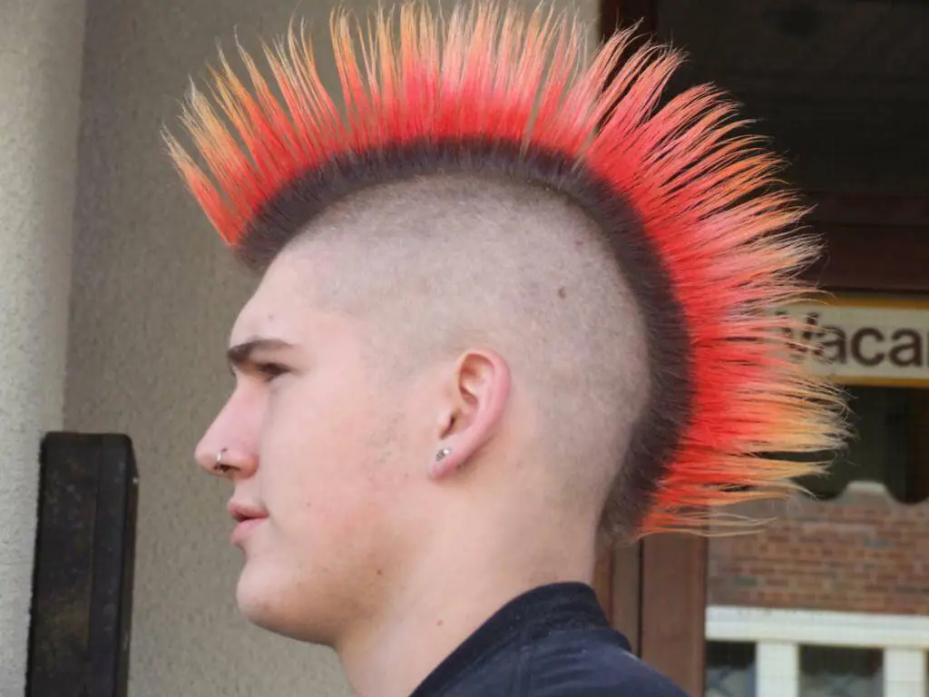 Fanned Mohawk Punk Hairstyles for guys