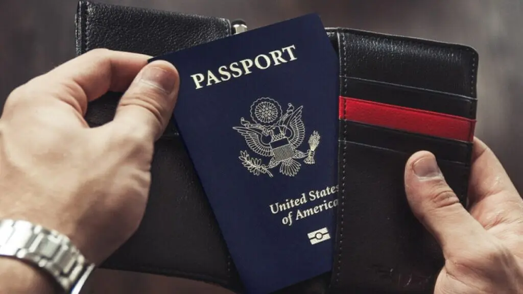 Super Slim Vertical Passport Wallet
