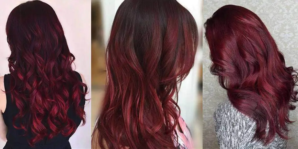 Burgundy Hairs with Curly Bordeaux