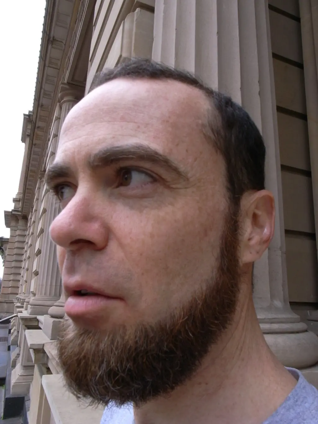 The Complete Chin Curtain Beard without Mustache