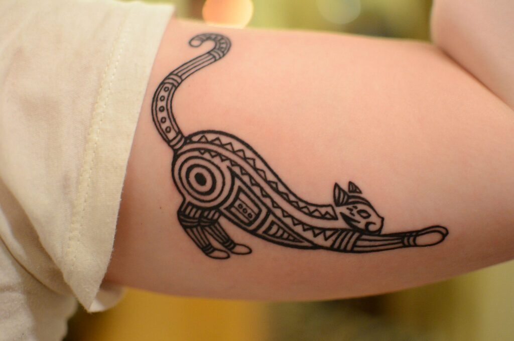 Cat Tattoo: traditional american tattoo