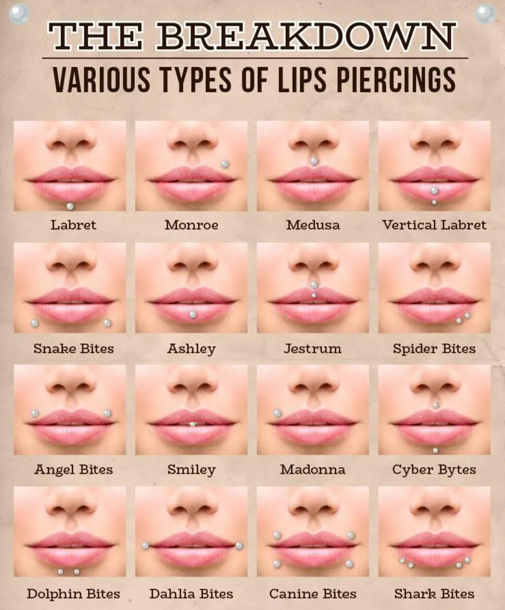 Types Of Labret Piercing Studs
