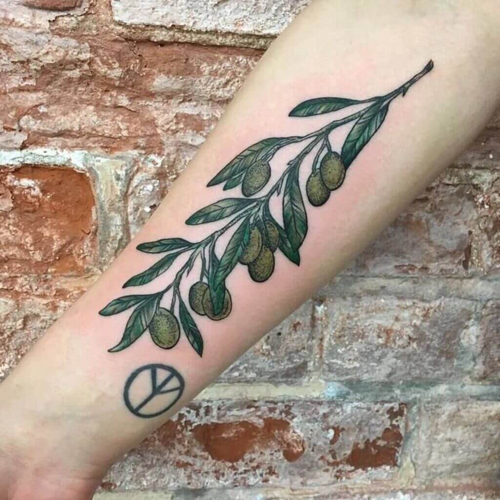 olive branches tattoo ideas