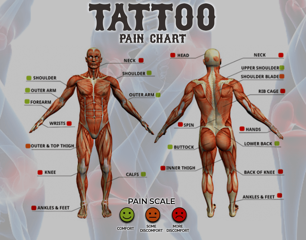 Tattoo Pain Chart Scale What Is The Most Least Painful Place Male   Female  Saved Tattoo