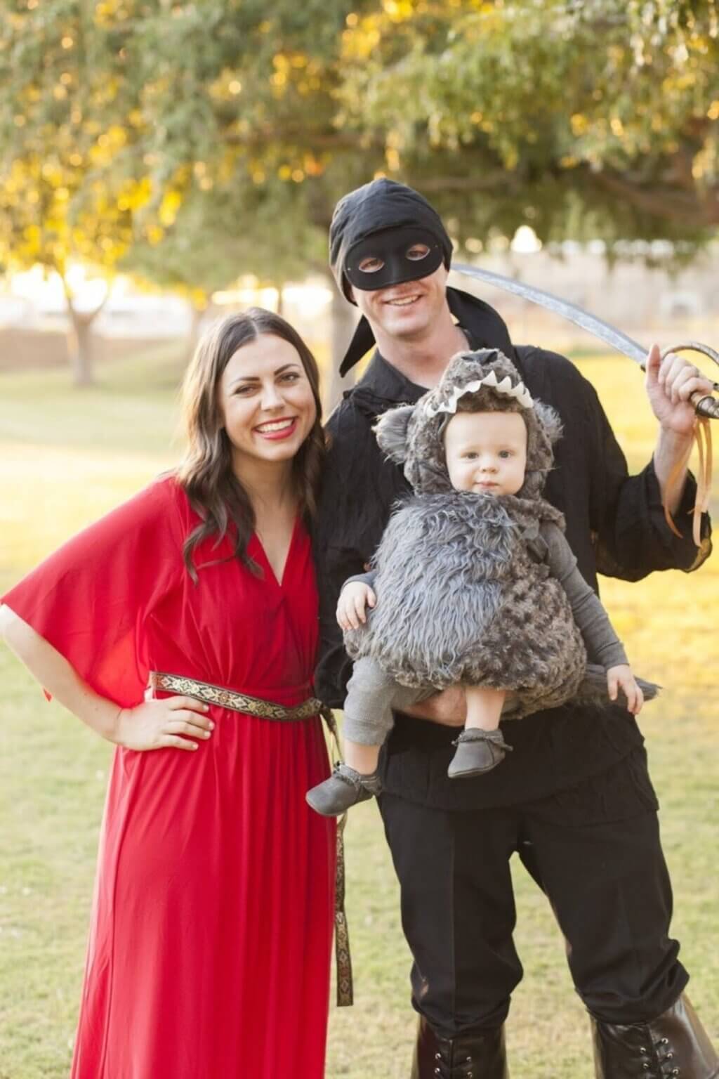 halloween costumes ideas for small family