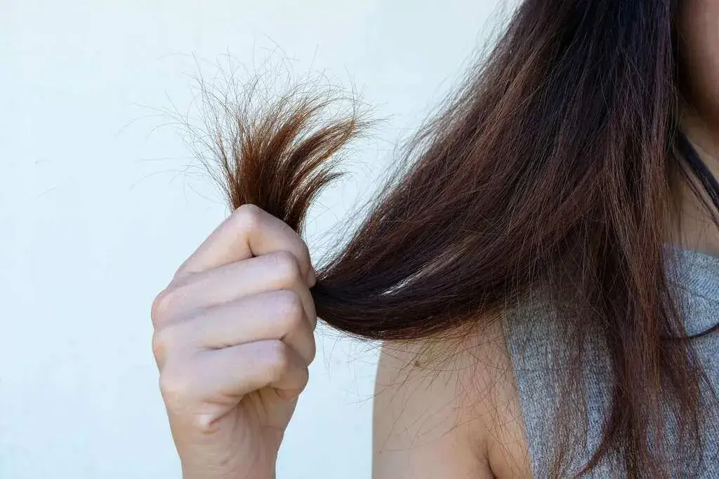 Effects of Untreated Oily Hair