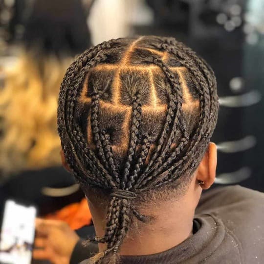 Men Box Braids Ponytail Styles