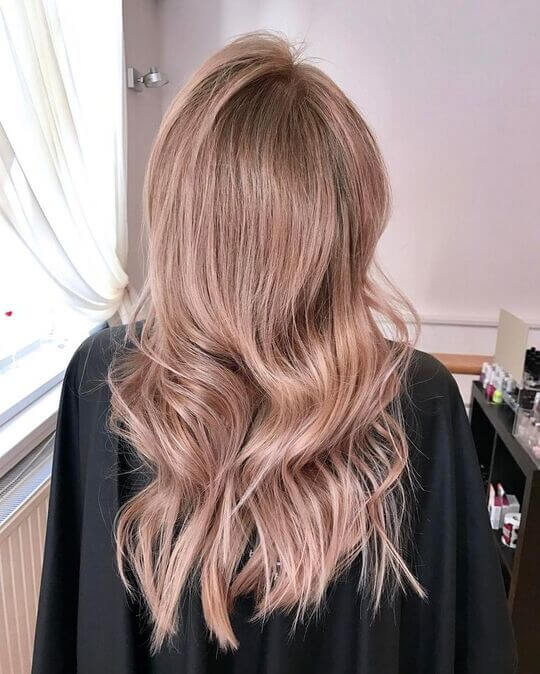 chilled rose Hair Color
