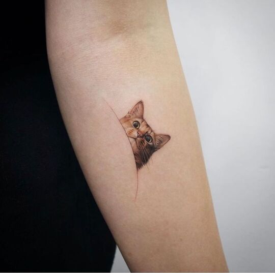 Cat tattoo on hand