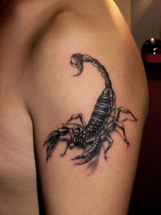 Scorpion Shoulder Tattoos for Women