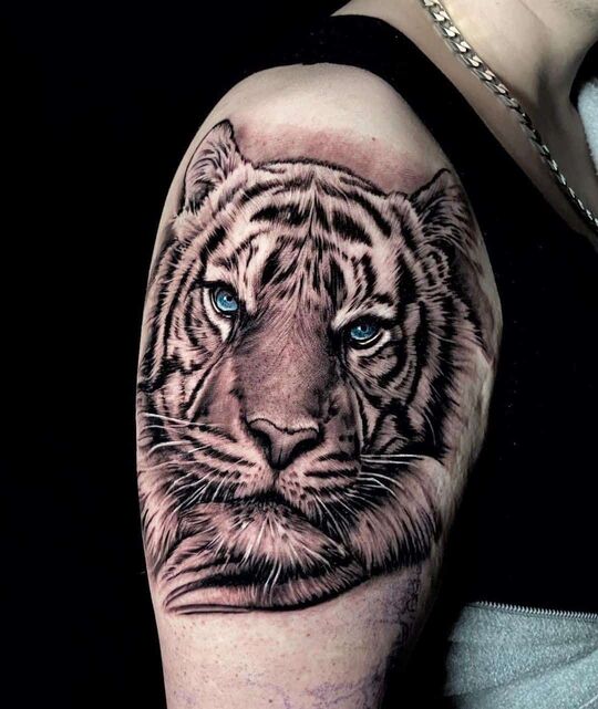 Tigers Tattoo on shoulder for Women
