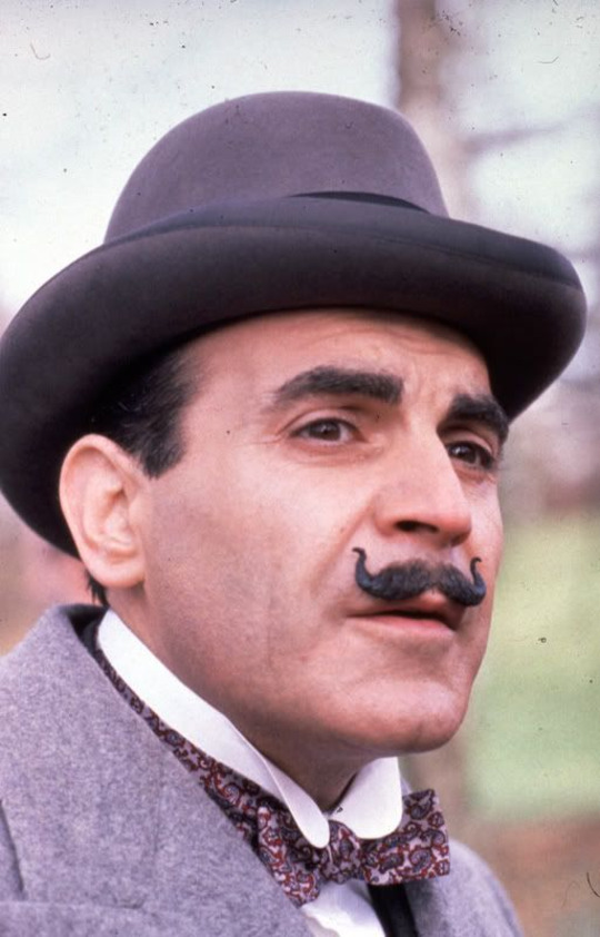 The Poirot Mustache