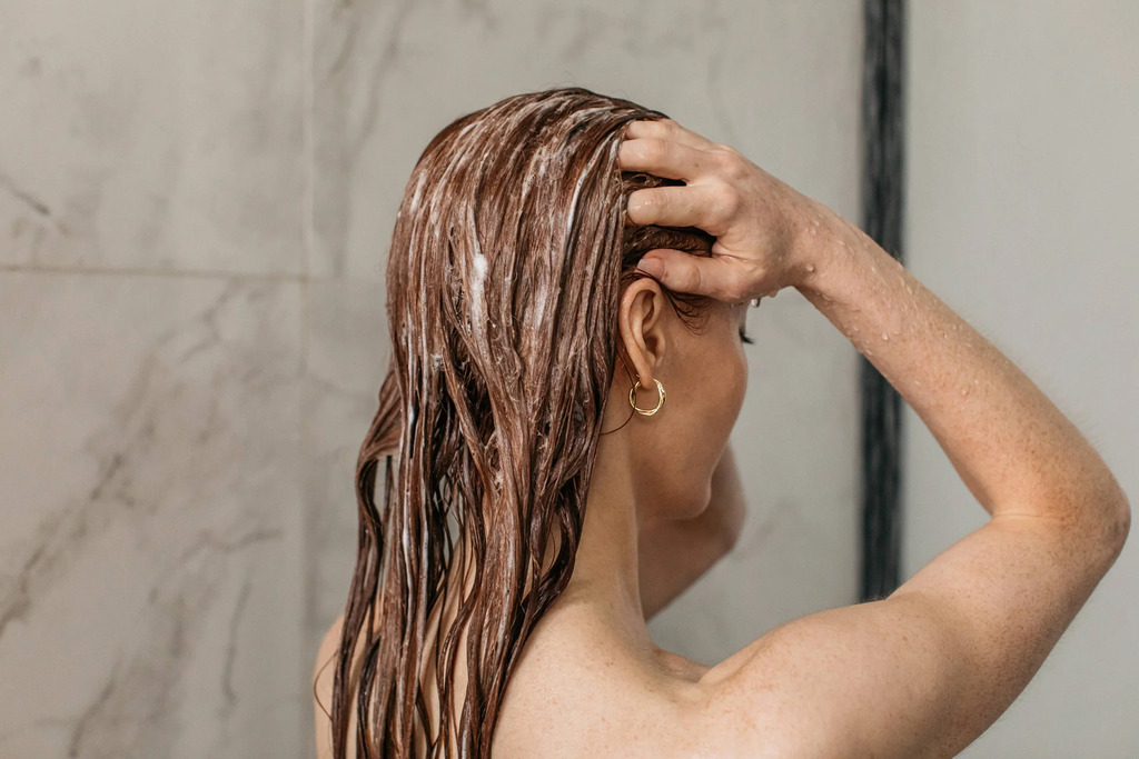 Ayurvedic Shampoo Advice to Use Daily In Your Hair Routine